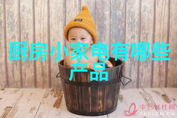 第三批节能惠民家用燃气热水器推广目录